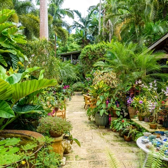 tourhub | Brightwater Holidays | Gardens of Barbados 