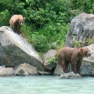 tourhub | Cosmos | Grand Alaskan Adventure 