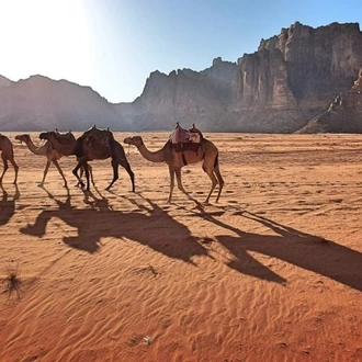 tourhub | Yota Travel and Tourism | Bedouins and Wadi Rum - 06 Days 