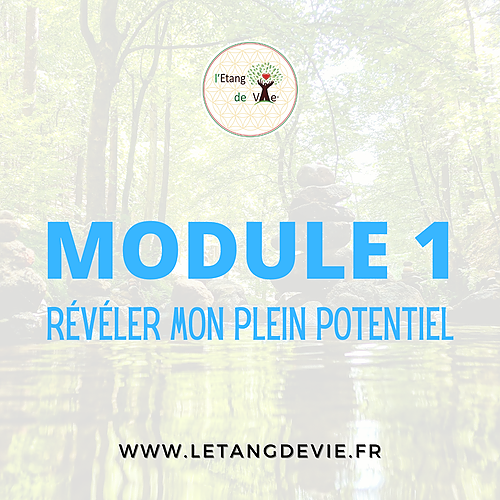 Représentation de la formation : Module 1 : Révéler mon plein potentiel