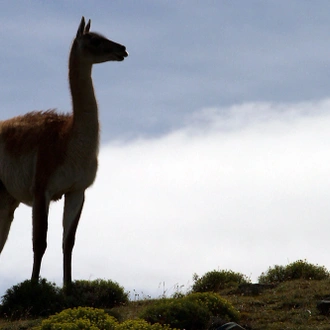 tourhub | Exodus Adventure Travels | Patagonian Highlights 