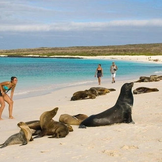 tourhub | BM Tours | Galapagos Island Hopping Santa Cruz and San Cristobal 5 Days  