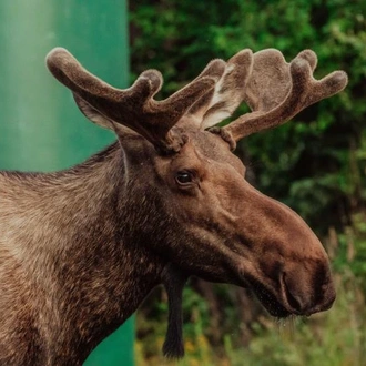 tourhub | Omega Tours | Discovering the Wilderness: Alaska's National Parks 