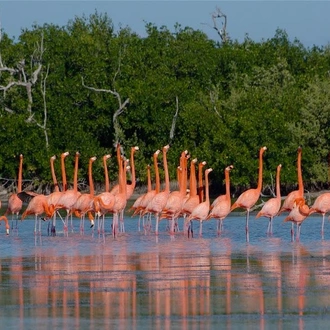 tourhub | Today Voyages | Yucatan Peninsula in family 