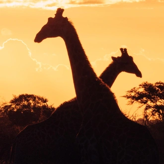 tourhub | Intrepid Travel | Experience Southern Africa 