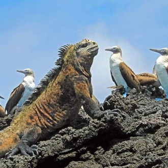 tourhub | Wild Frontiers | Darwin's Ecuador: Andes to Galapagos 