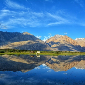 tourhub | Alkof Holidays | Best of Ladakh 