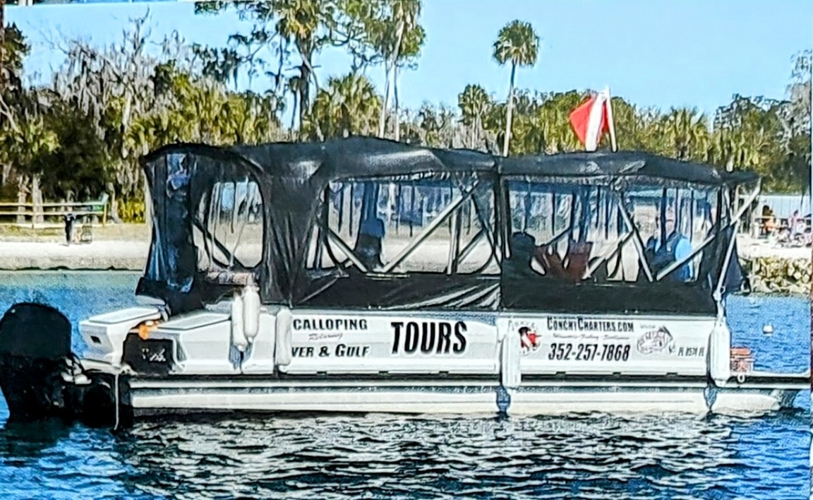 Manatee Viewing Eco Tour