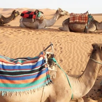 tourhub | On The Go Tours | Morocco Family Adventure - 9 days 