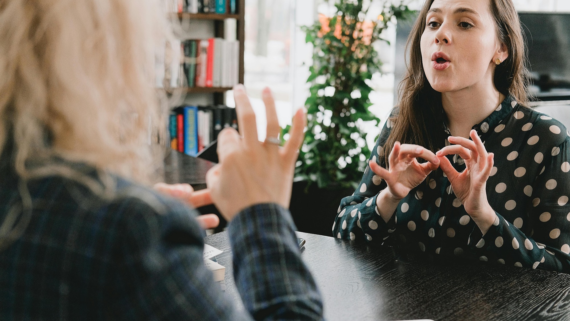 Représentation de la formation : Apprentissage de la langue des signes française niveau introductif ou découverte A1.2 