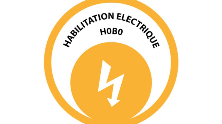 Représentation de la formation : Habilitation électrique selon NF C18510 H0,B0 éxecutant