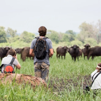 tourhub | G Adventures | South Africa: Kruger Wildlife Tracking & Vineyards 