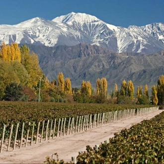 tourhub | Tangol Tours | 4-Day Mendoza Tour 