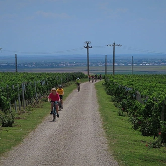 tourhub | Bike In Time | Wine route by bicycle 