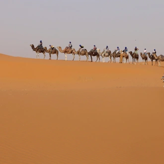 tourhub | Morocco Global Adventures | 3 Day tour from Marrakech to Merzouga desert with camel trek  and back to Marrakech round trip 