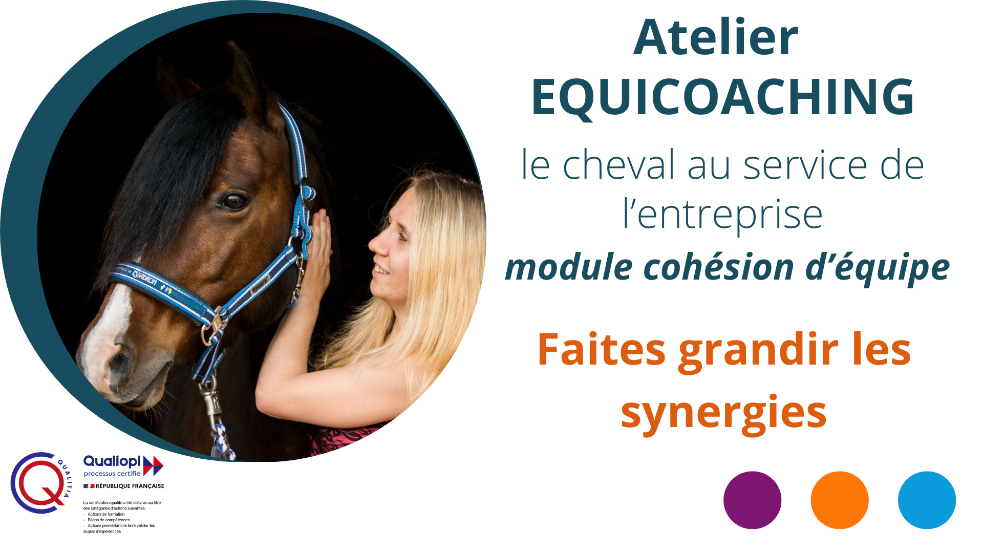 Représentation de la formation : ATELIER EQUICOACHING "le cheval au service de l'entreprise"  Cohésion d'Equipe