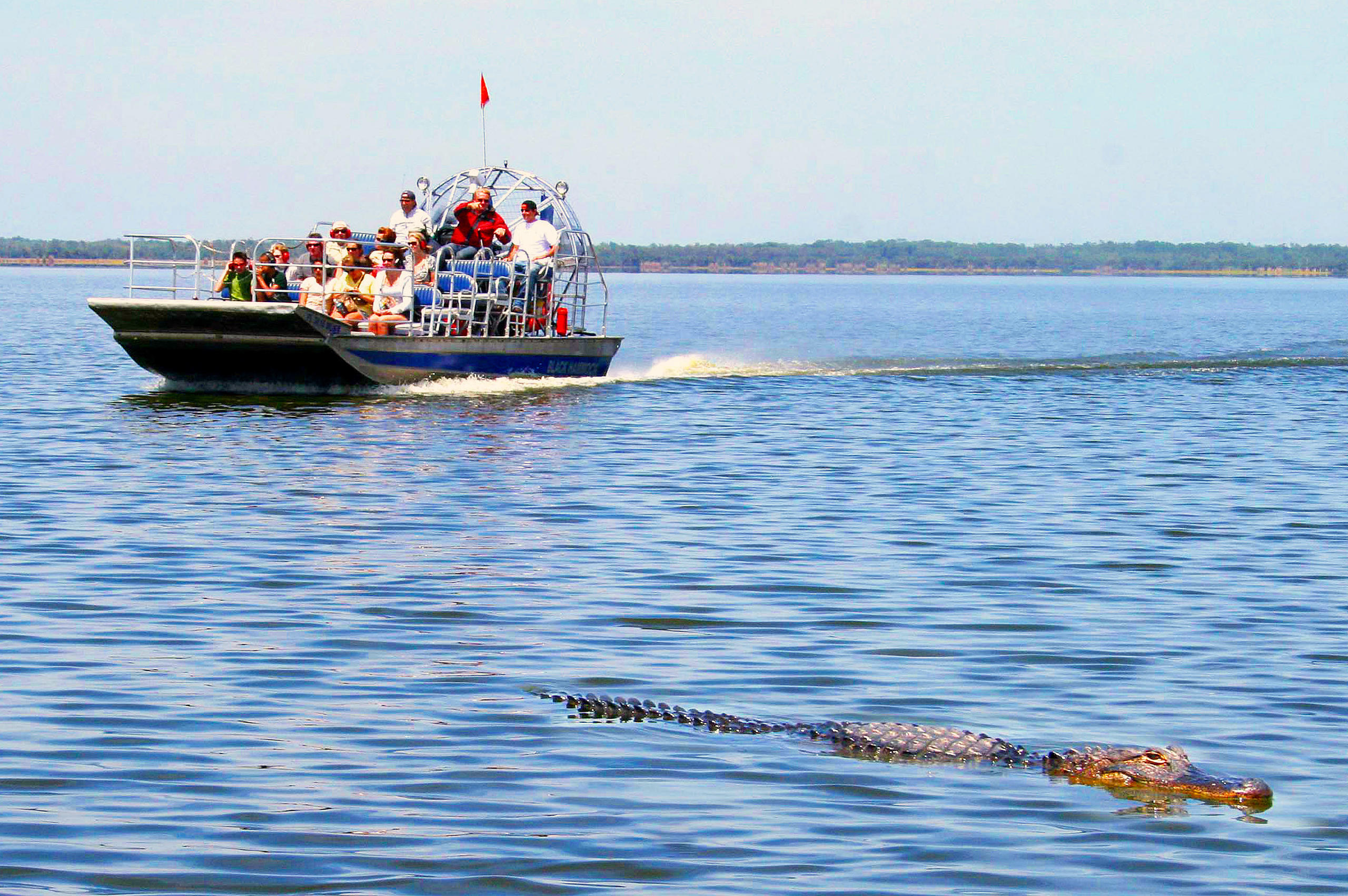 from-miami-everglades-40-min-airboat-amp-wildlife-show-with-round-trip-transport