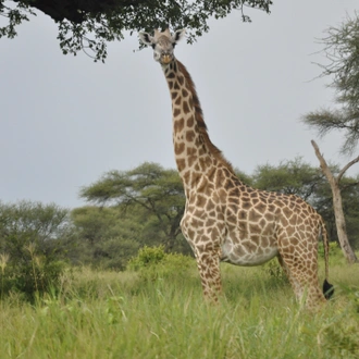 tourhub | Spider Tours And Safaris | 2 days luxury lodge safari 