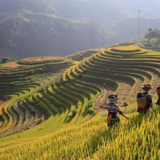 tourhub | G Adventures | North & Central Vietnam: Hanoi, Hoi An & Countryside Adventures 