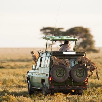 tourhub | Gracepatt Ecotours Kenya | From Nairobi: 2 Days Amboseli National Park Safari Package (CLONE) 