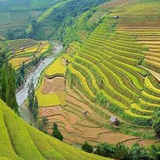 tourhub | Mr Linh's Adventures | Mu Cang Chai trekking 4 days 3 nights 