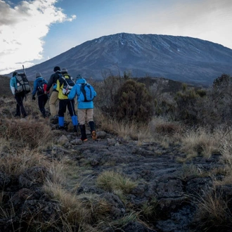 tourhub | Intrepid Travel | Kilimanjaro: Machame Route 