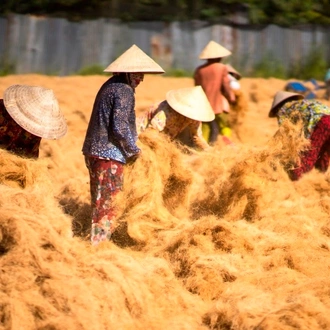 tourhub | Today Voyages | Cycling along the mighty Mekong Delta 