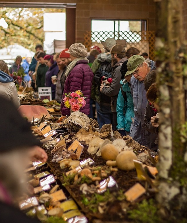 A crowd of people viewing a display of mushrooms layed out on a tiered table.