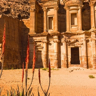 tourhub | Newmarket Holidays | Jordan - Petra & the Dead Sea 