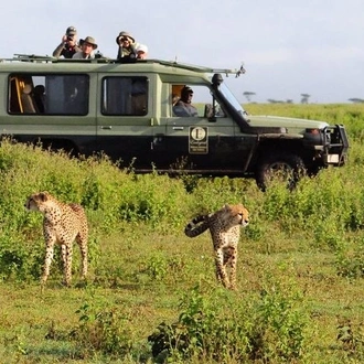 tourhub | Gracepatt Ecotours Kenya | 9 Days Kenya Classic Lodge Safari 