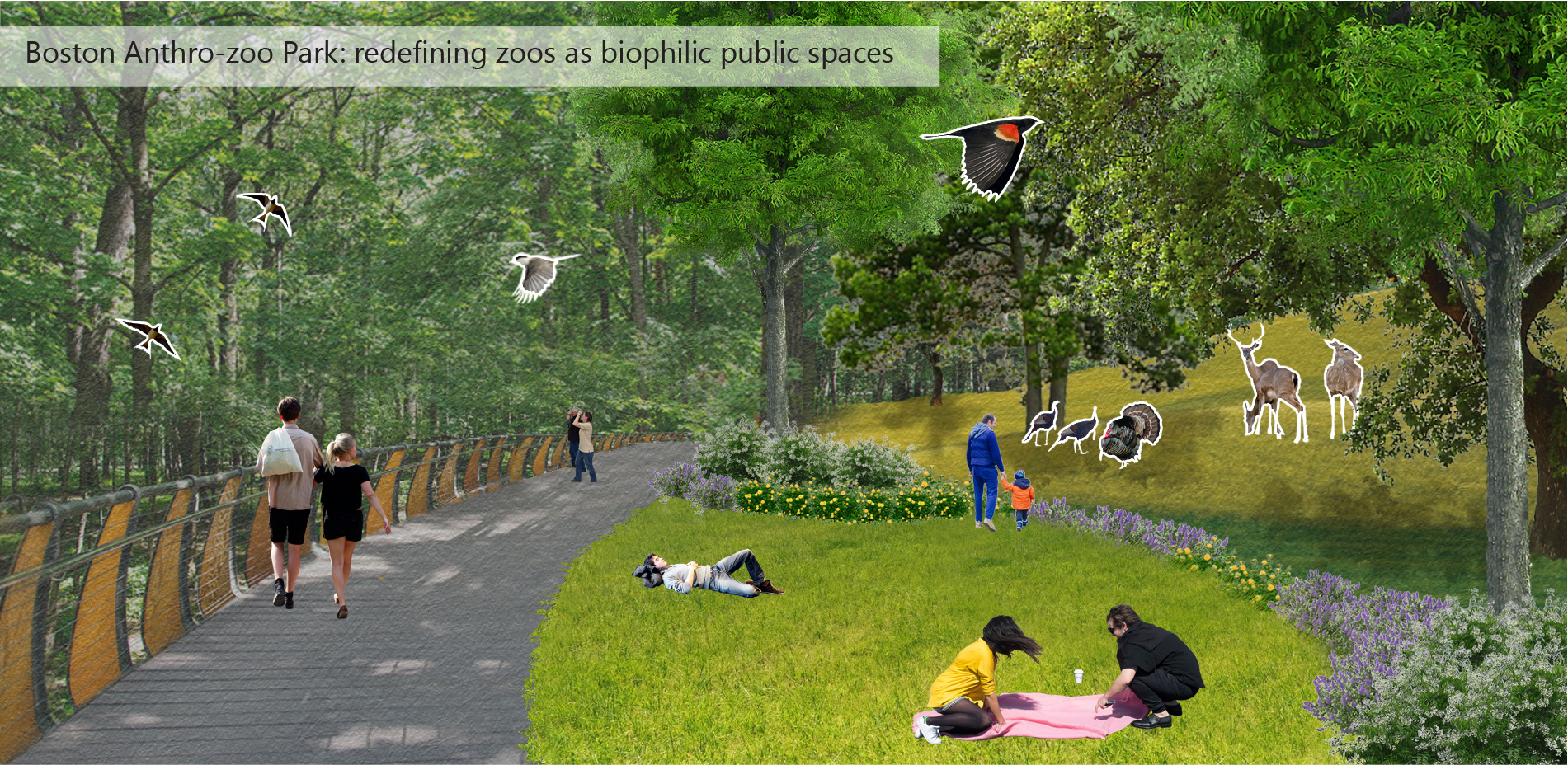 Boston Anthro-zoo Park: redefining zoos as biophilic public spaces