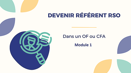 Représentation de la formation : Référent RSO dans un OF ou CFA - Mod1