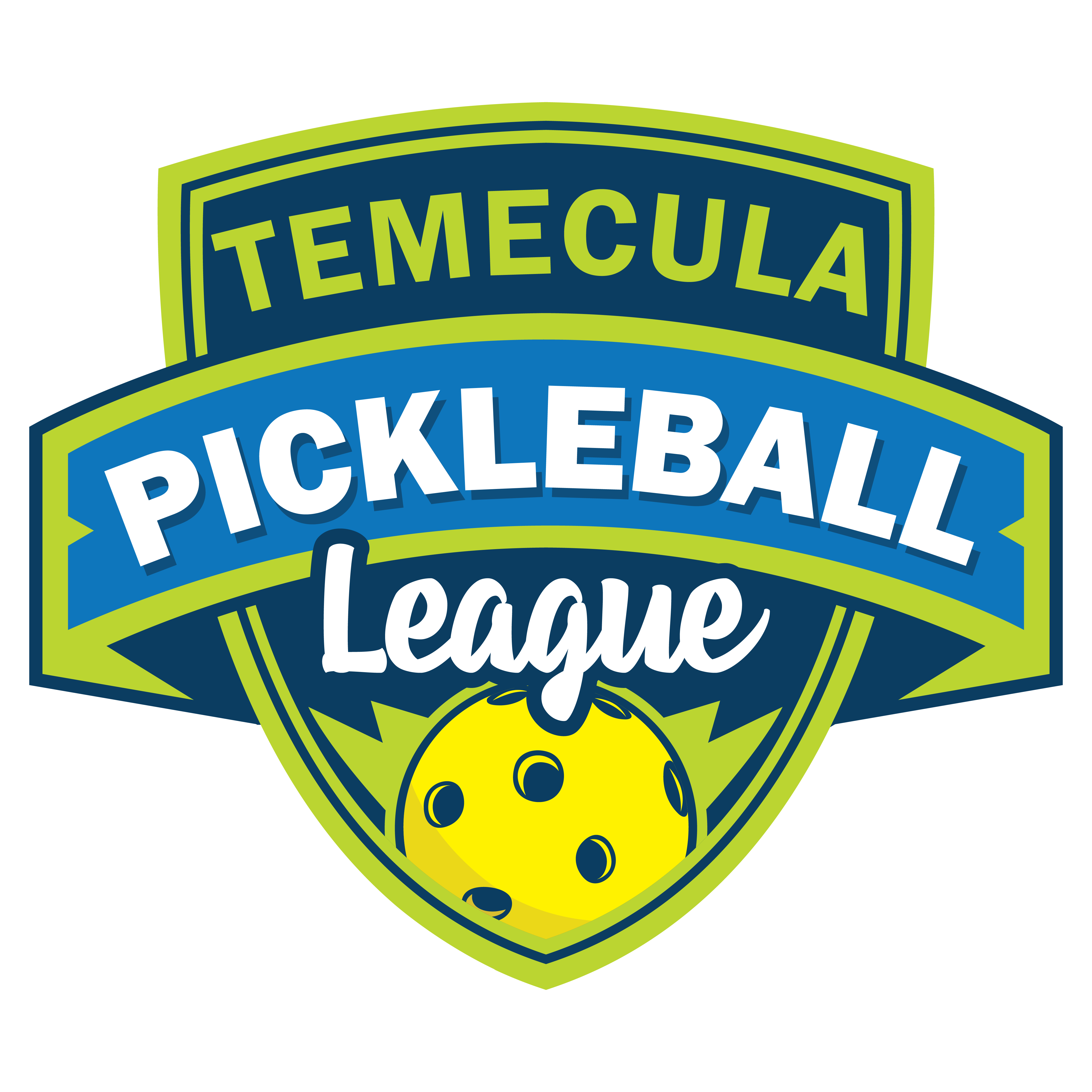 USA City Pickleball logo
