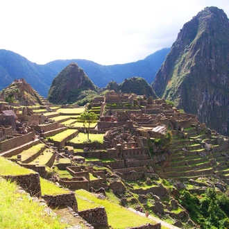 tourhub | Intrepid Travel | Machu Picchu by Train Short Break 