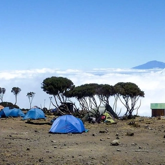 tourhub | Gracepatt Ecotours Kenya | 10 Days Mount Kilimanjaro Hike- Lemosho Route  