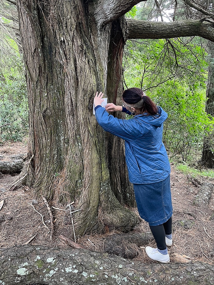 Draw Workshop with Auckland Parks - Emma Hinton