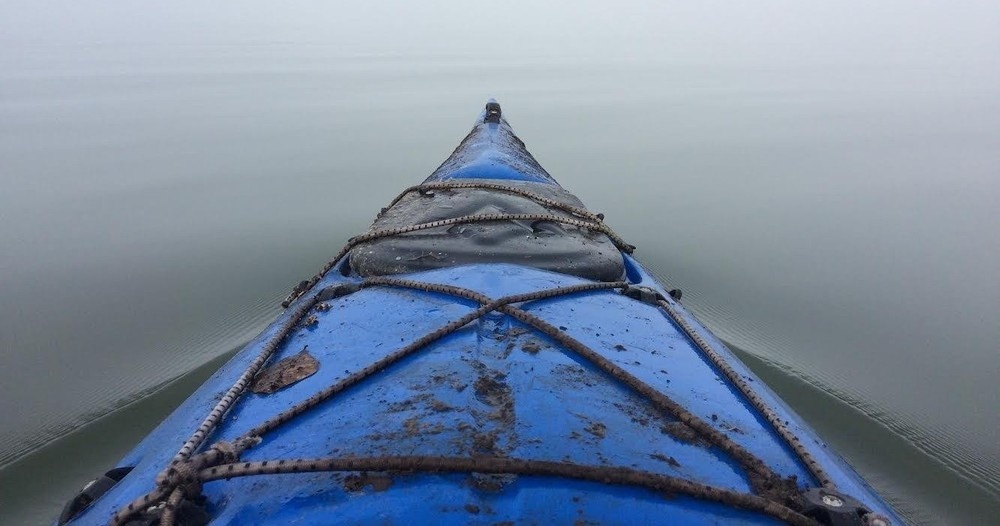 Morning Kayak Tour