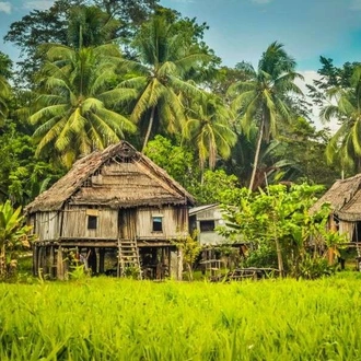 tourhub | Wild Frontiers | Tribal Lands of Papua New Guinea (Goroka Festival) 