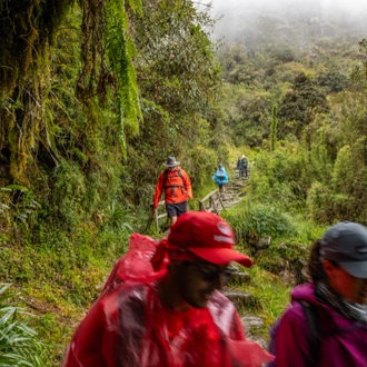 tourhub | Intrepid Travel | Inca Trail Extension 