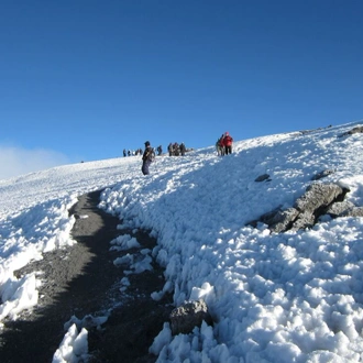 tourhub | Intrepid Travel | Kilimanjaro: Rongai Route 