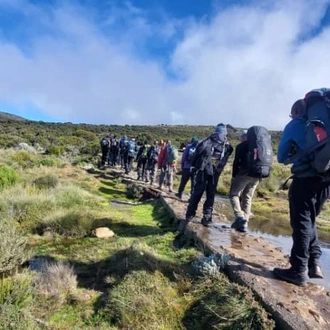 tourhub | Zara Tanzania Adventures | Kilimanjaro Marangu Route 5 Days 