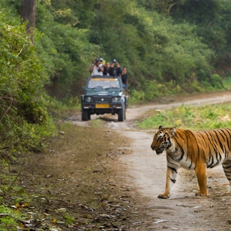 tourhub | Panda Experiences | India Tour with Tiger Safari 