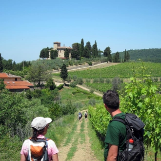 tourhub | Exodus Adventure Travels | Tuscany Walks & Chianti Wines 