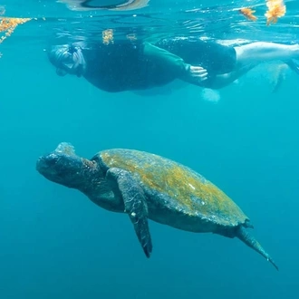 tourhub | Ecuador Galapagos Travels | 4 Days Magic of Santa Cruz 