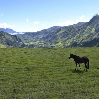 tourhub | Bamba Travel | Natural Ecuador Adventure 7D/6N 