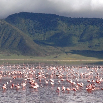 tourhub | Alaitol Safari | Tanzania: Serengeti to Zanzibar 