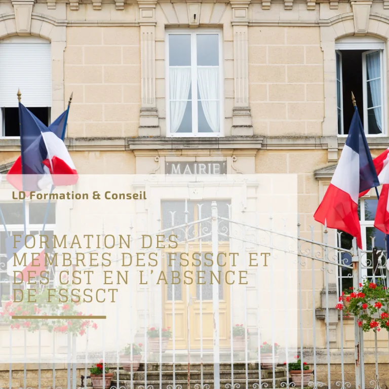 Représentation de la formation : Formation des membres des F3SCT et des CST en l’absence de F3SCT