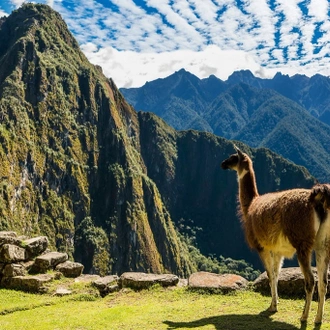 tourhub | Lima Tours | Inca Living Legacy, Private Tour 