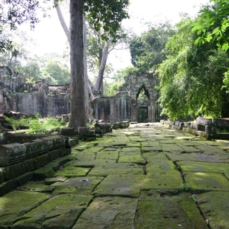 tourhub | Intrepid Travel | Cambodia's Secrets of Angkor 