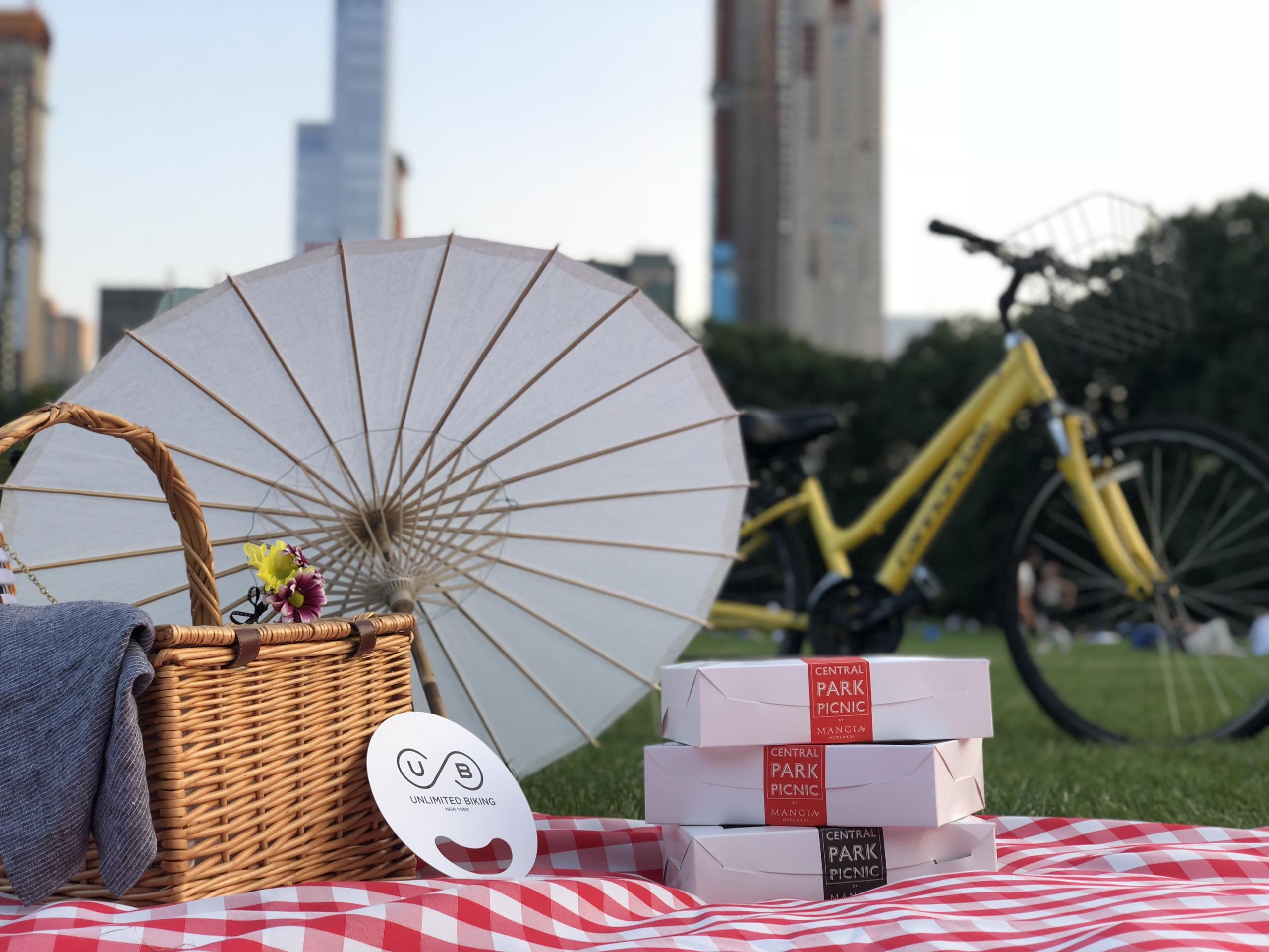 Central Park Picnic with Full Day Bike Rental - Accommodations in New York